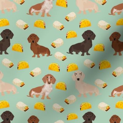 dachshund taco fabric - dogs and burritos design - mint