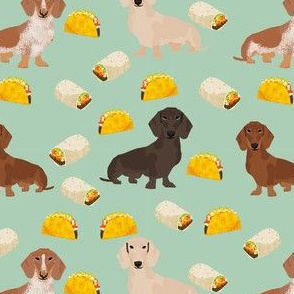 dachshund taco fabric - dogs and burritos design - mint