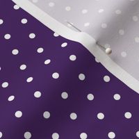 polka dot dark purple - mermaid coordinate