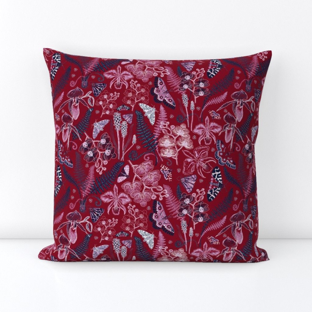 Orchid Botanical Study #021318 (burgundy)