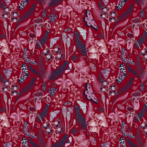 Orchid Botanical Study #021318 (burgundy)