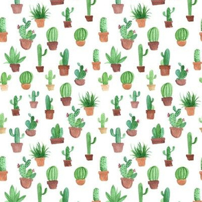 Watercolor cactus pots