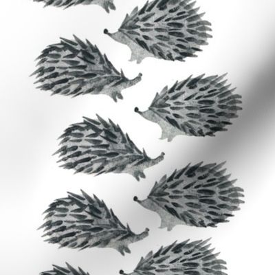 Sweet hedgehog watercolor - scandinavian black and white