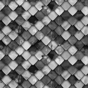 dragon scales - monochrome