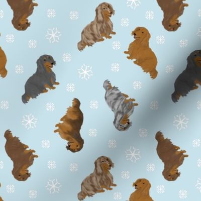 Tiny Longhaired Dachshunds - winter snowflakes