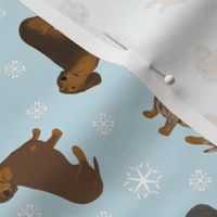 Tiny Smooth Dachshunds - winter snowflakes