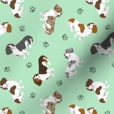 Tiny piebald Smooth Dachshunds - green