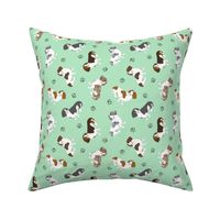 Tiny piebald Smooth Dachshunds - green