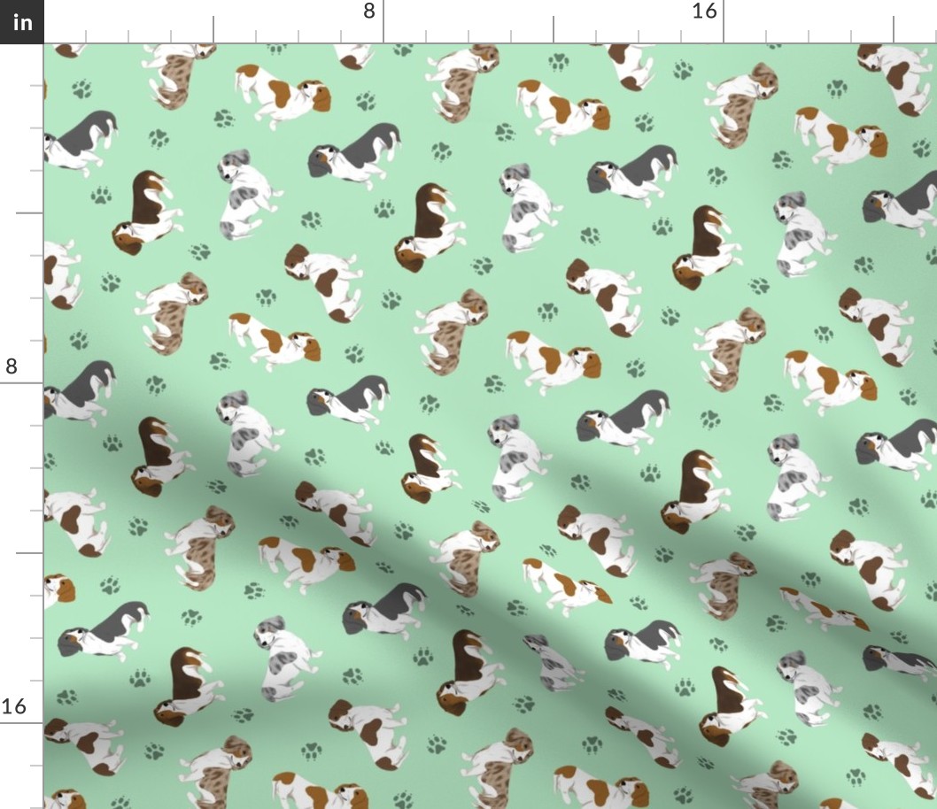 Tiny piebald Smooth Dachshunds - green