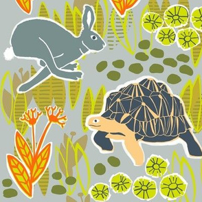 tortoise and hare 1