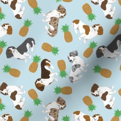 Tiny piebald Smooth Dachshunds - pineapples