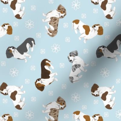 Tiny piebald Smooth Dachshunds - winter snowflakes