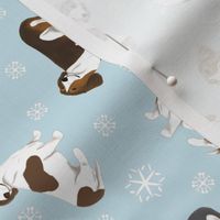 Tiny piebald Smooth Dachshunds - winter snowflakes