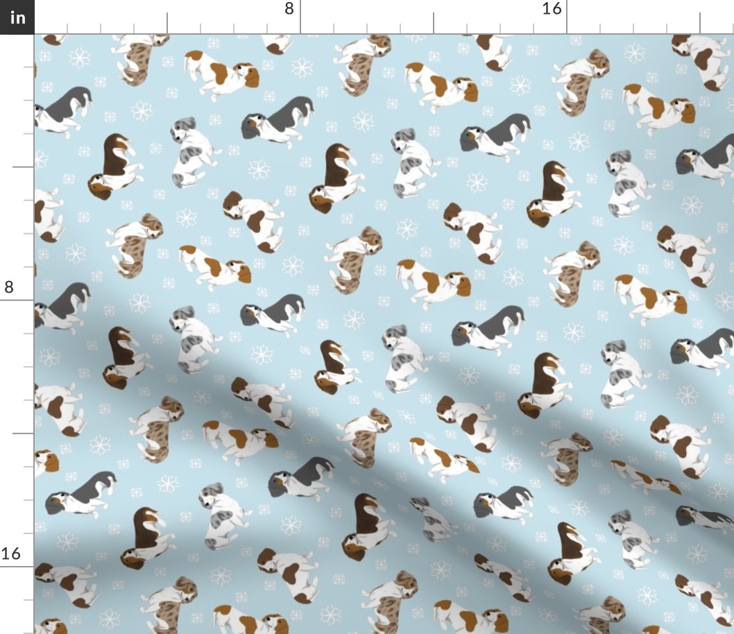 Tiny piebald Smooth Dachshunds - winter snowflakes
