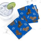 Tiny Wirehaired Dachshunds - Hanukkah