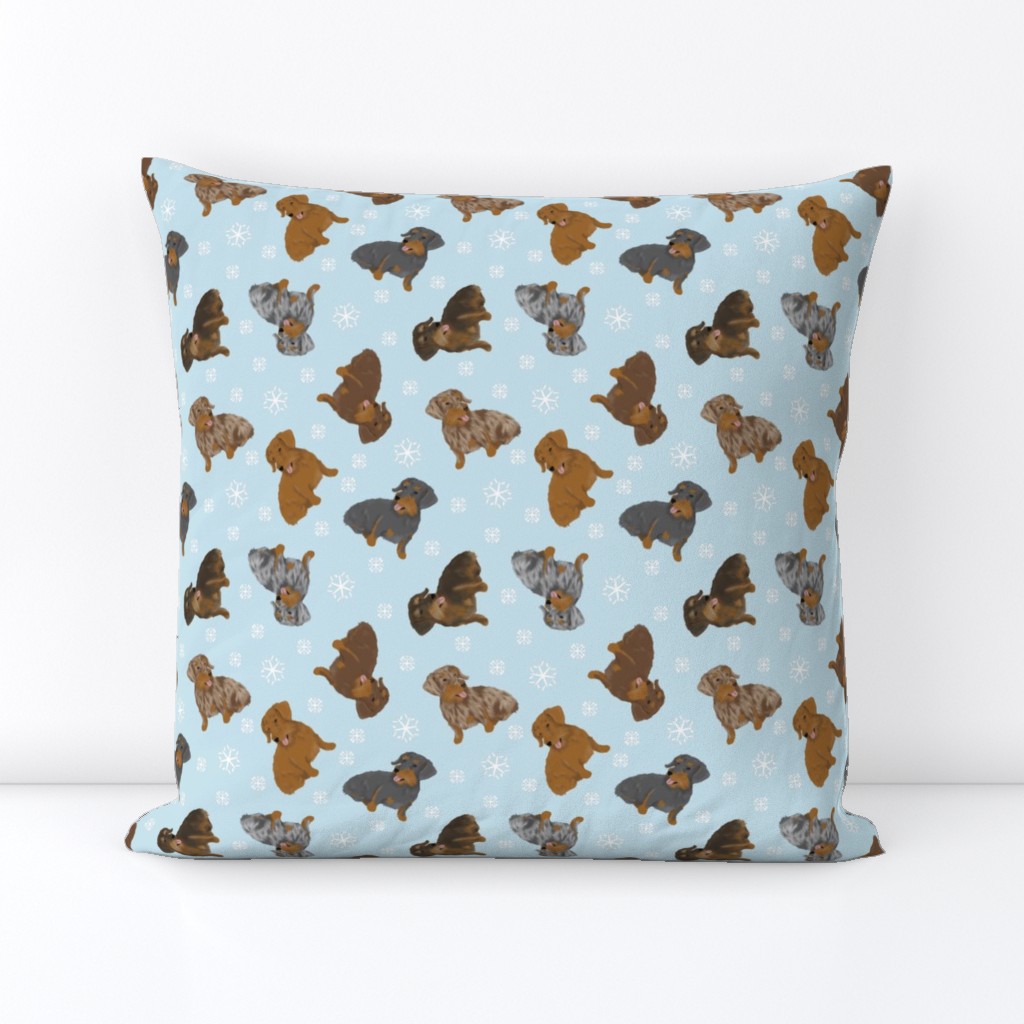 Tiny Wirehaired Dachshunds - winter snowflakes