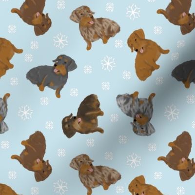 Tiny Wirehaired Dachshunds - winter snowflakes