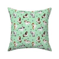 Tiny piebald Wirehaired Dachshunds - green