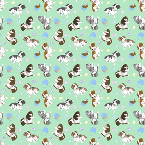Tiny piebald Wirehaired Dachshunds - Easter