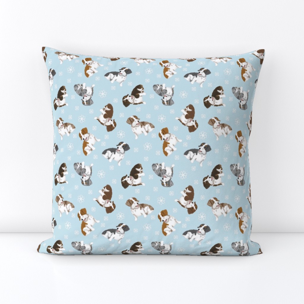 Tiny piebald Wirehaired Dachshunds - winter snowflakes