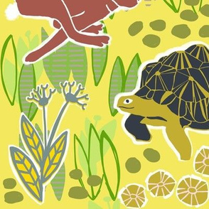 tortoise and hare 4