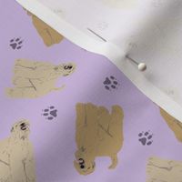 Micro tiny Wheaten Terriers - purple