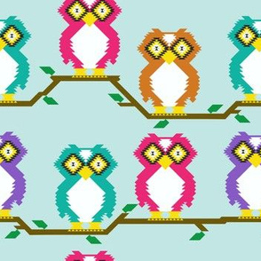 kilim owl smallest