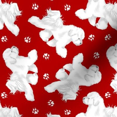 Trotting Bichon Frise and paw prints - red