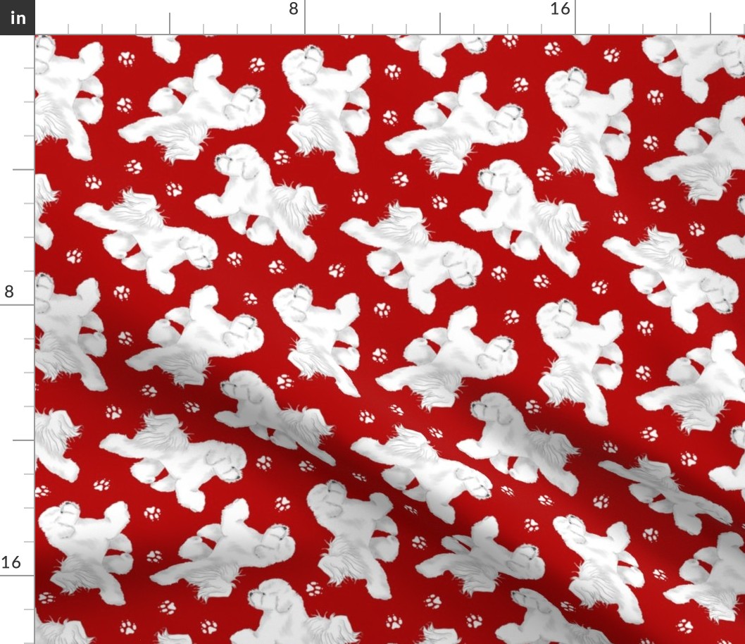 Trotting Bichon Frise and paw prints - red