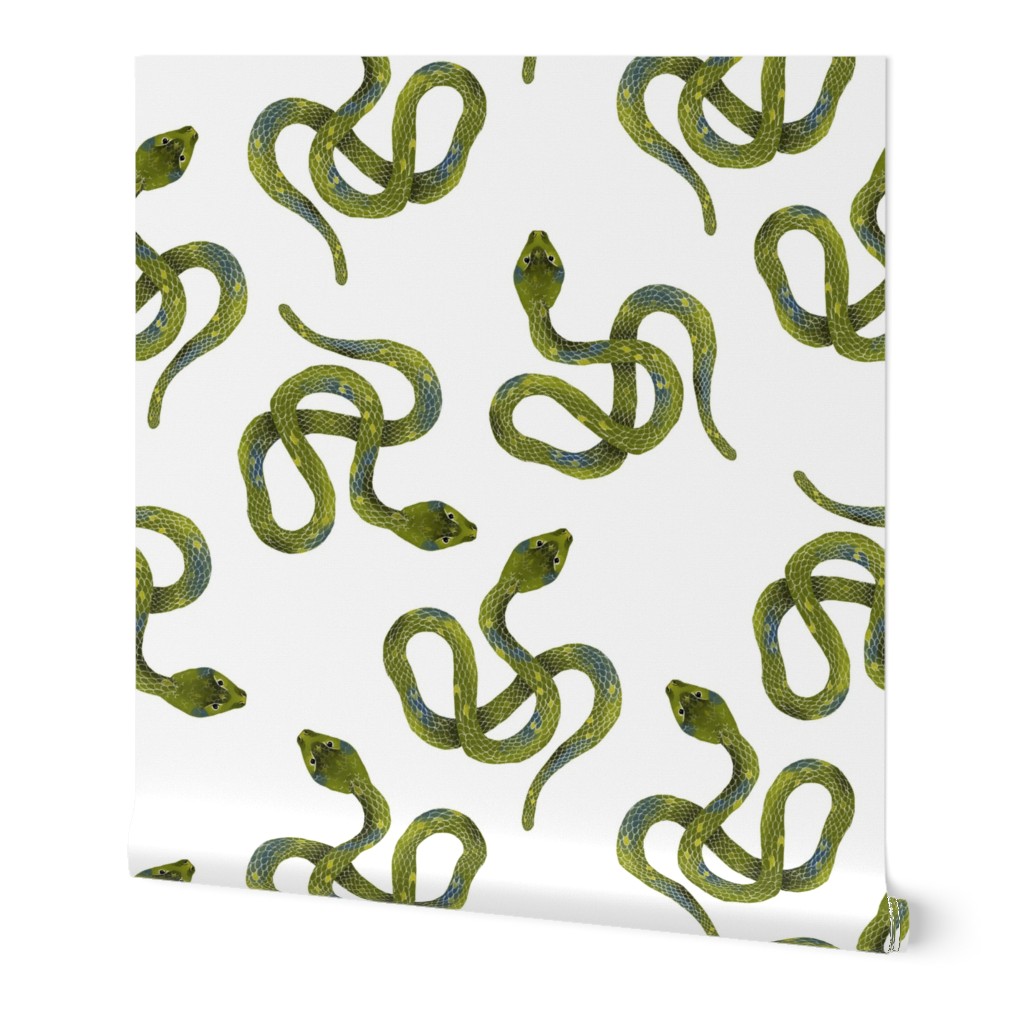 Light Green Snakes on White