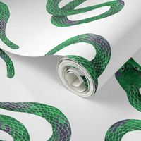 Emerald Green Snakes on White