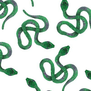 Emerald Green Snakes on White