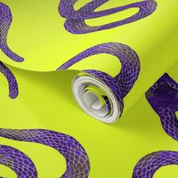 Purple and Grey Snakes on Yellow-Green