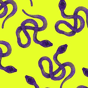 Purple and Grey Snakes on Yellow-Green