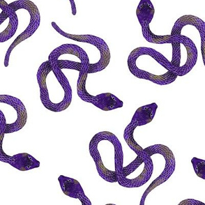 Purple and Grey Snakes on White