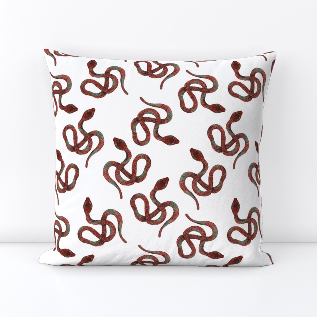 Red and Grey Snakes on White