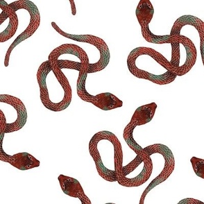 Red and Grey Snakes on White