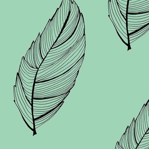 mint green and black feather leaf-ch