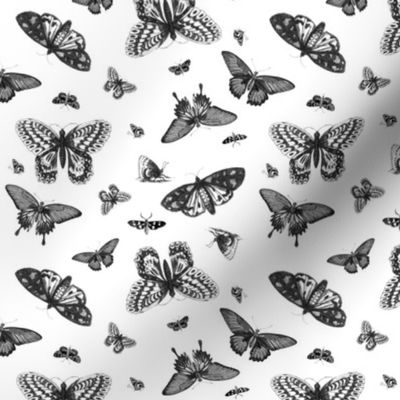 Vintage Butterflies - Black and White