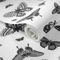 Vintage Butterflies - Black and White