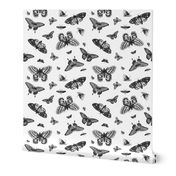 Vintage Butterflies - Black and White