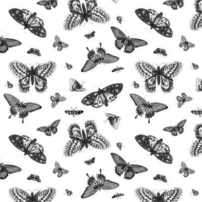 Vintage Butterflies - Black and White