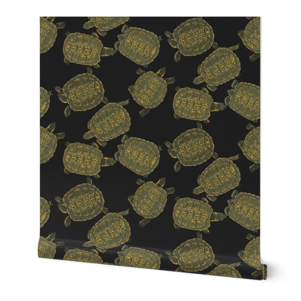 Box Turtles on Charcoal