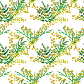 Flowers of Mimosa on white seamless pattern