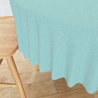 Textured Solid Aqua Blue Green Mint Abstract Linen || Spring Quilt Coordinate _ Miss Chiff Designs 