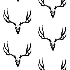 Deer Skulls // Large