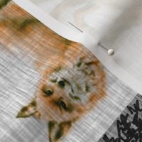 Fox Quilt - Rust and Black- ROTATED - Adveture Awaits - Little Man