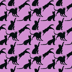 Neon Cats silhouettes black and purple