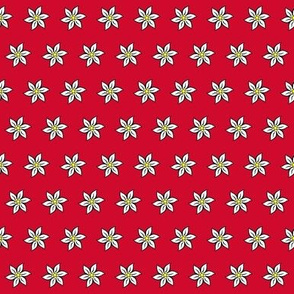 swiss edelweiss on red - small  
