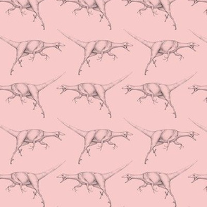 Pink Raptors
